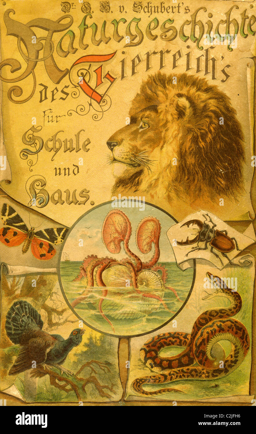 In German; Stories of Animals for Home & school book cover Stock Photo
