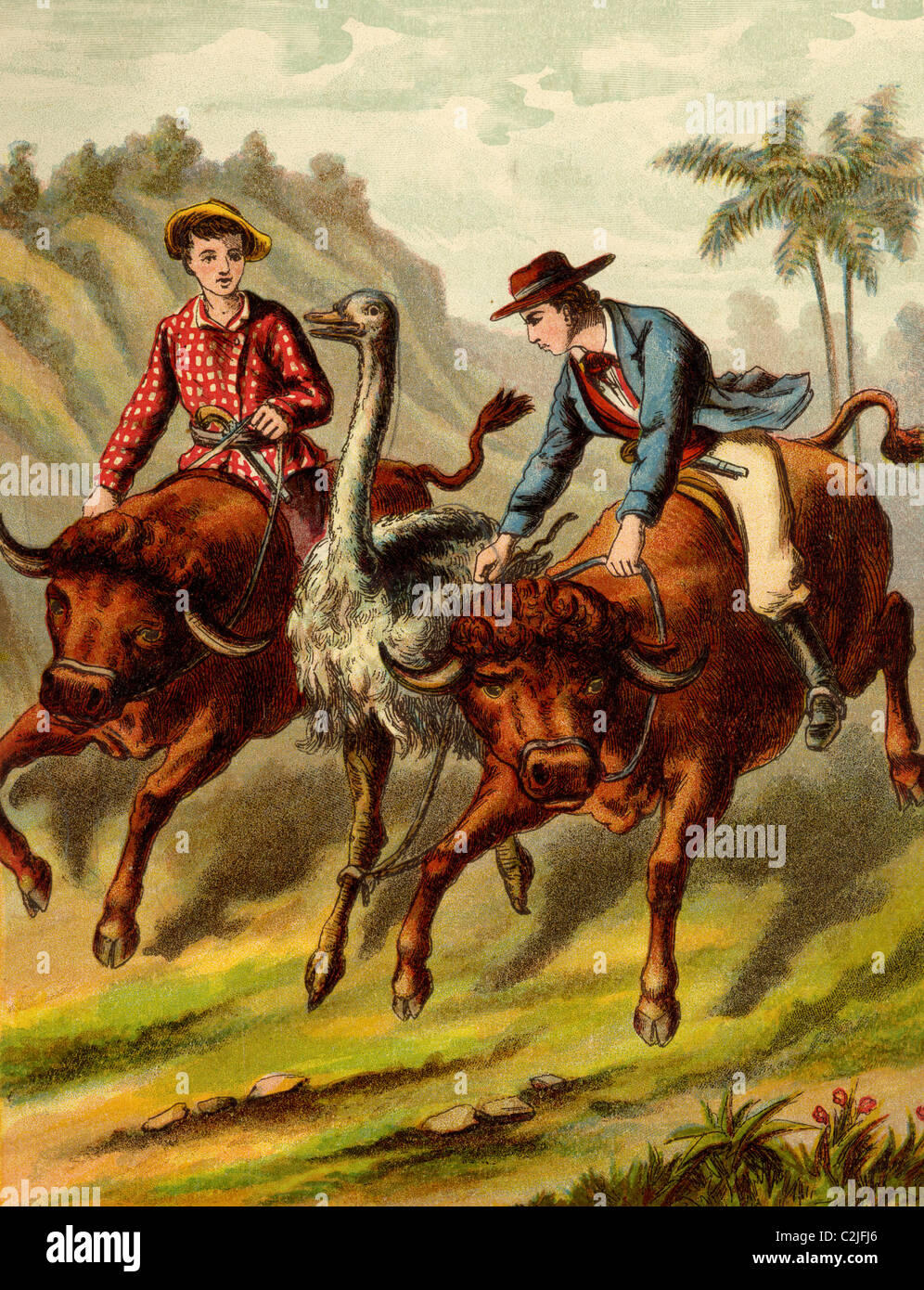 Boy & Girl riding bulls attempt to coral a large ostrich Stock Photo