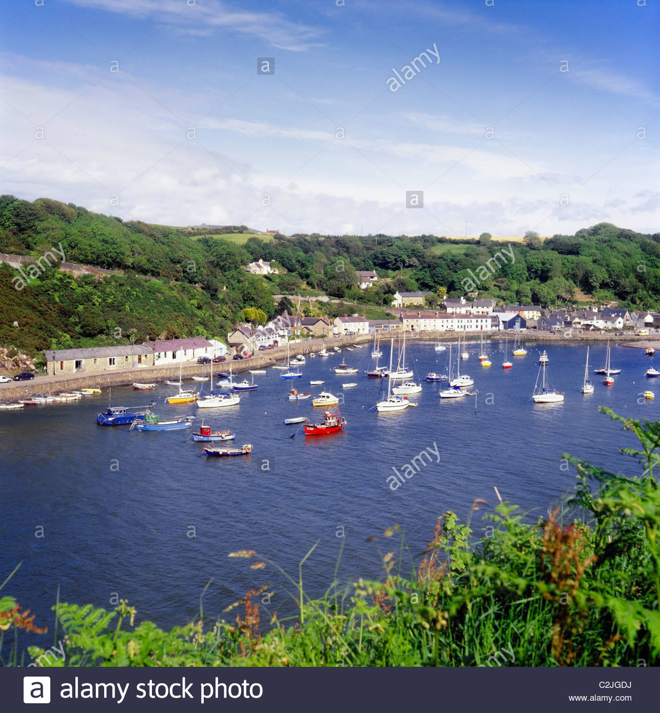 Old Fishguard Pembrokeshire Coast National Park; Wales UK Stock Photo