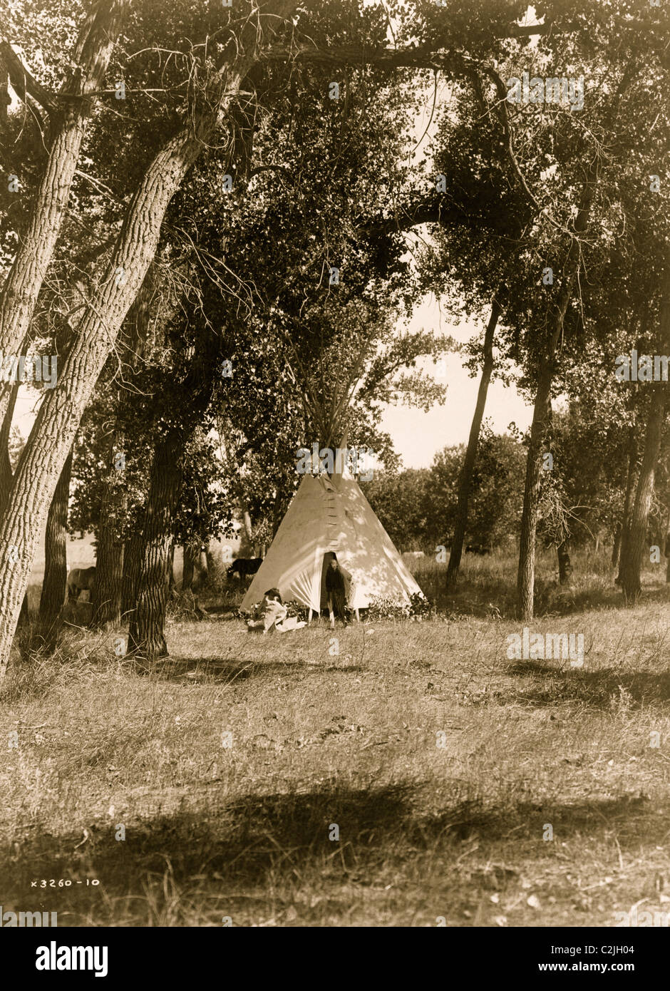 Camp in the cottonwoods--Cheyenne Stock Photo