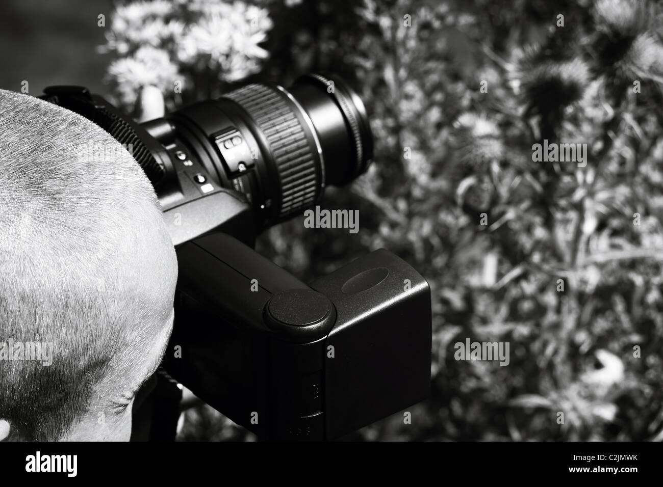 A skinhead male taking photographs through a bush, photo is black and white. Stock Photo