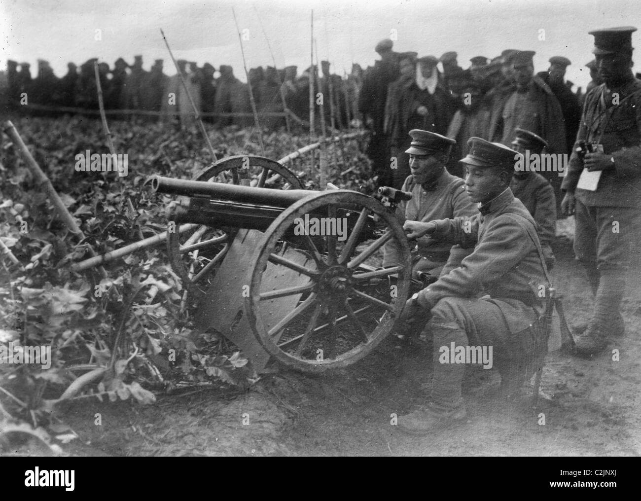 Artillery in action hires stock photography and images Alamy
