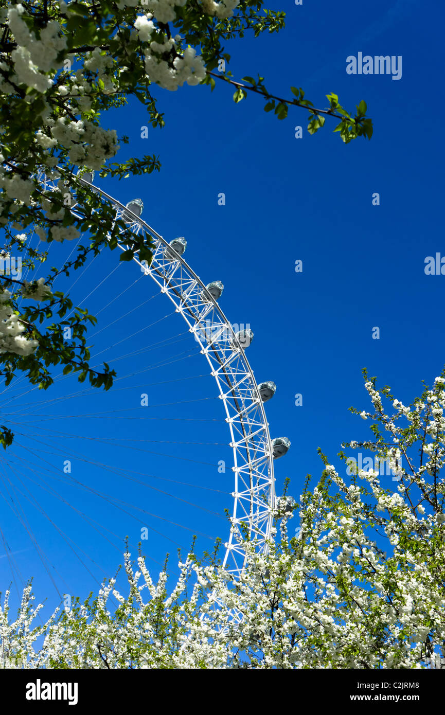London Eye, London, England, UK Stock Photo