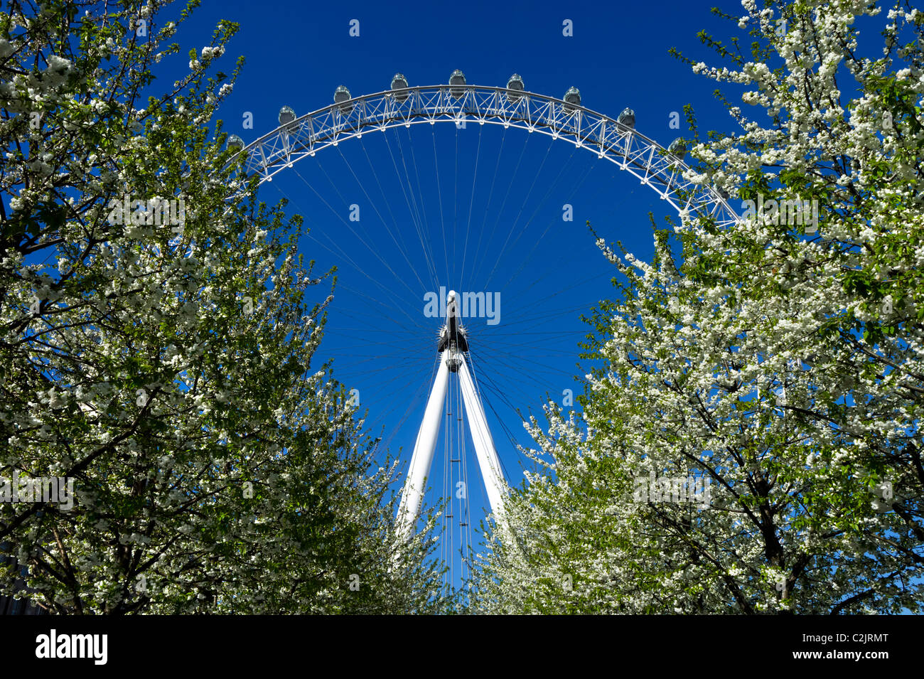 London Eye, London, England, UK Stock Photo