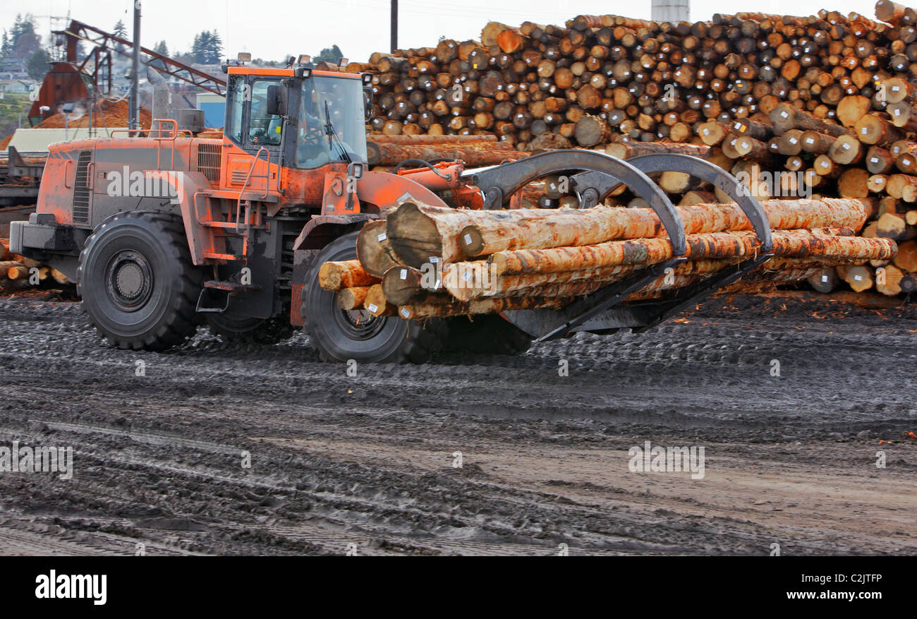 Heavy duty orange claw like logging forklift for moving debarked trees Stock Photo