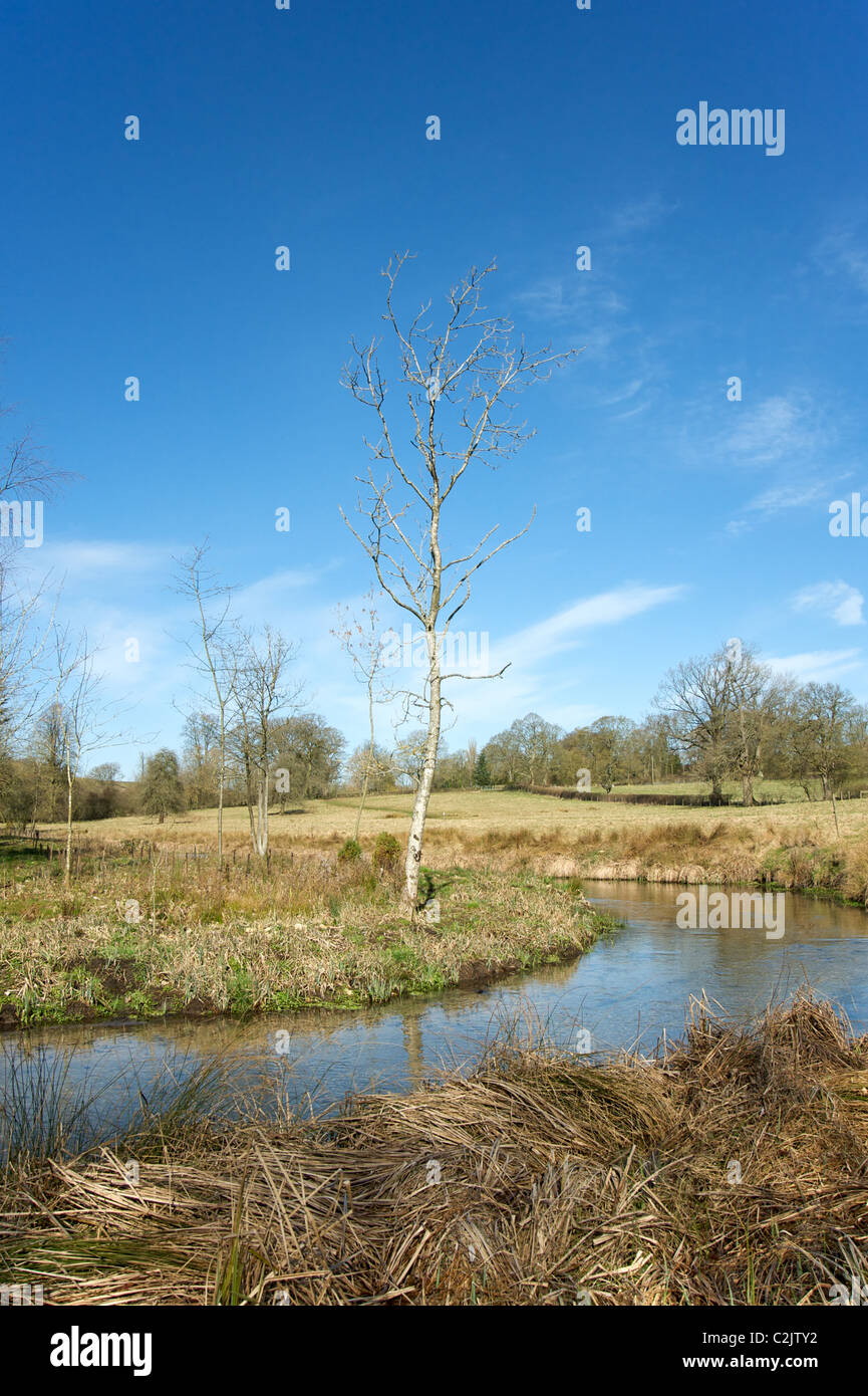 The River Rye flowing between Upper and Lower Slaughter, the Cotswolds ...