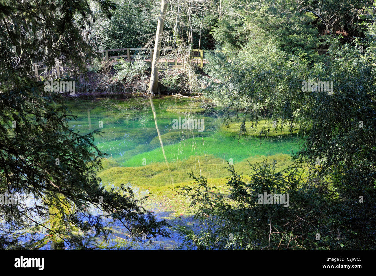 The silent pool hi-res stock photography and images - Alamy