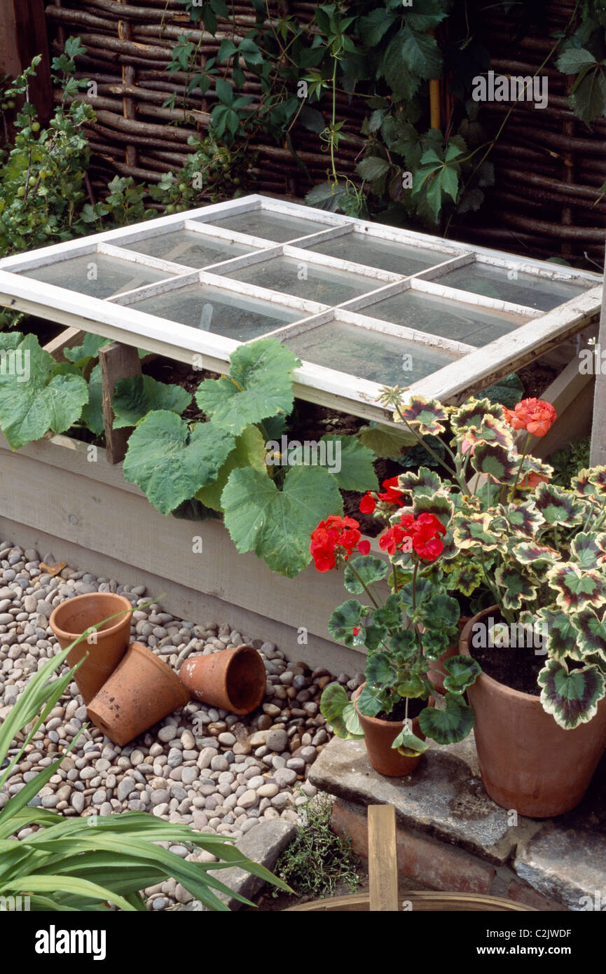 Cold frame for vegetables Stock Photo Alamy
