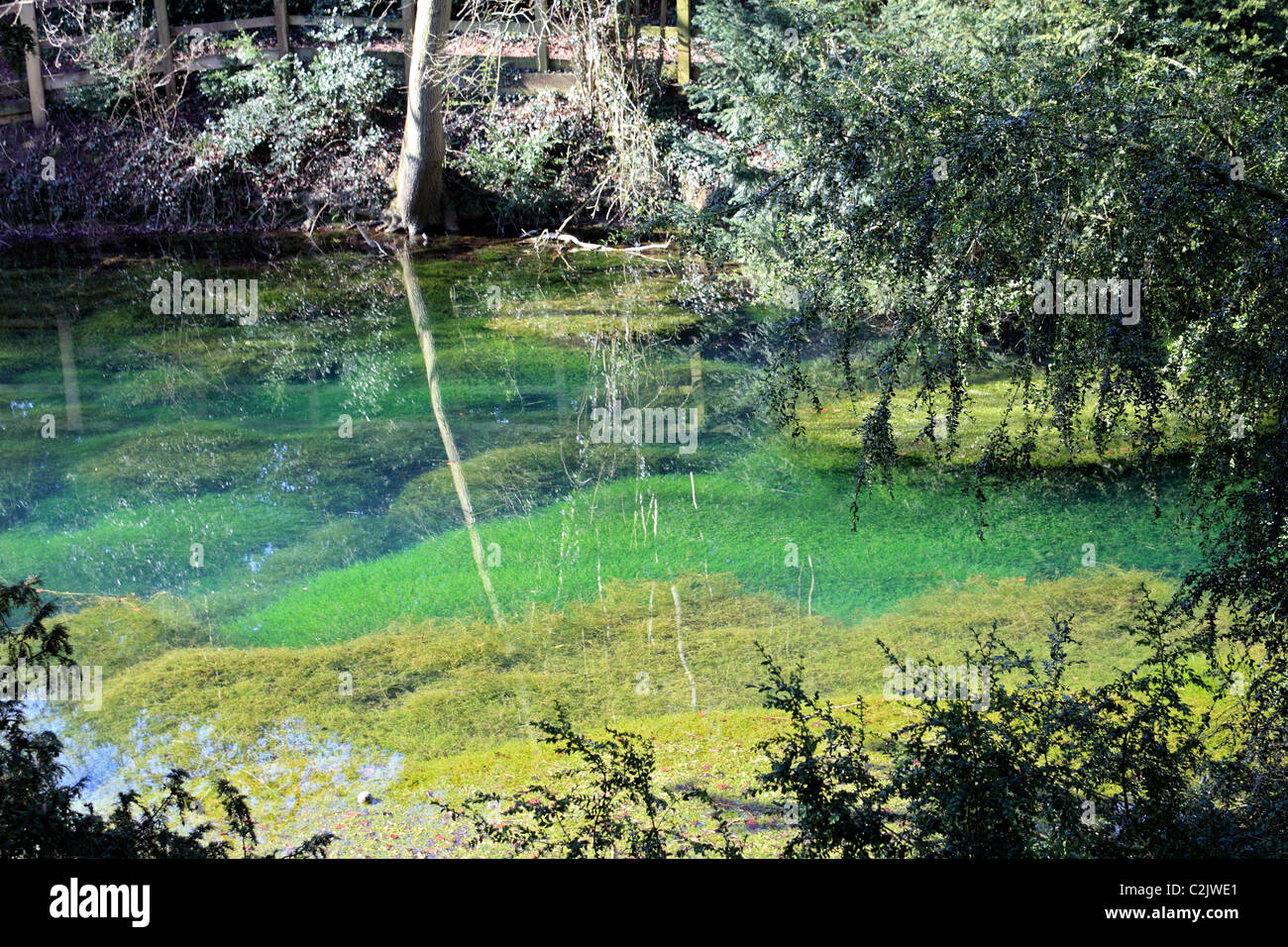 Silent Pool Surrey High Resolution Stock Photography and Images - Alamy