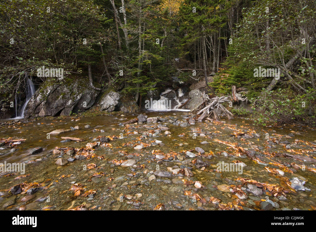 Point wolfe hi-res stock photography and images - Alamy