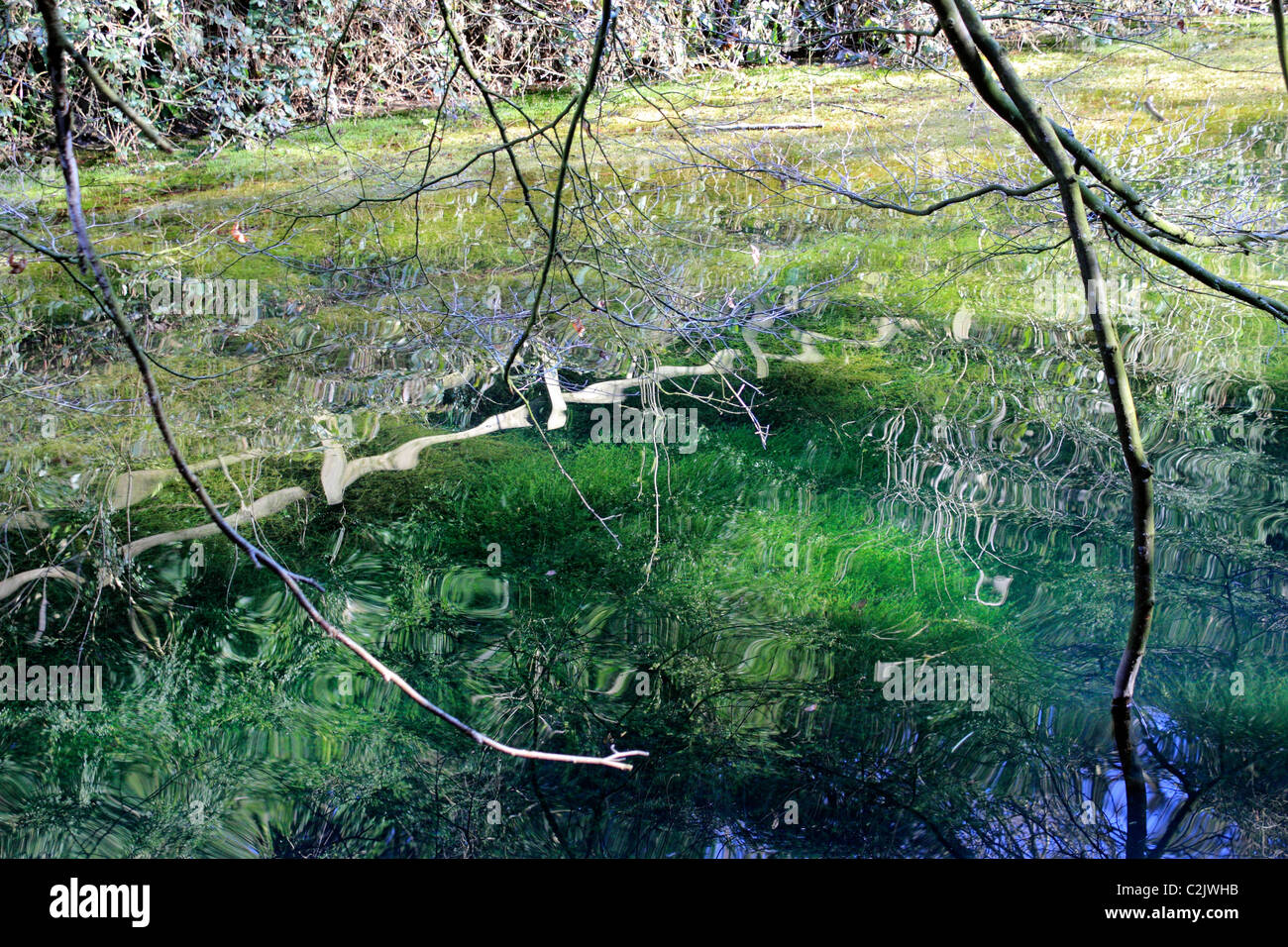 The Silent Pool on the A25 Shere Road between Guildford and Dorking ...