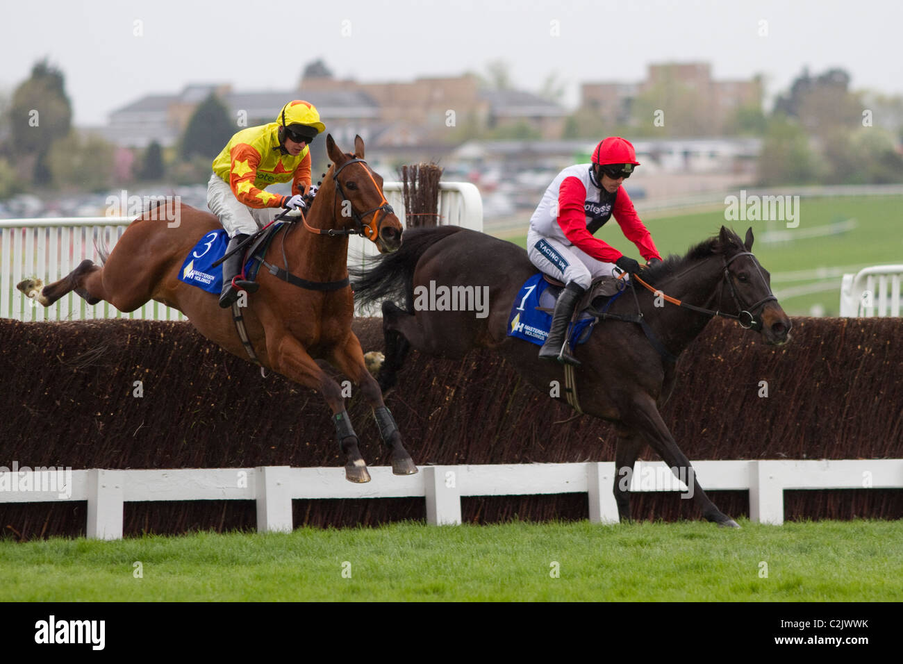 Poquelin in the Masterson Holdings Silver Trophy Chase (Grade 2 Limited Handicap) - 13/4/2011 Stock Photo