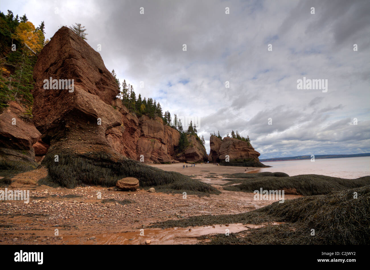Wide view of Hopewell Rocks, Bay of Fundy, New Brunswick, Canada. HDR tonemapped image. Stock Photo
