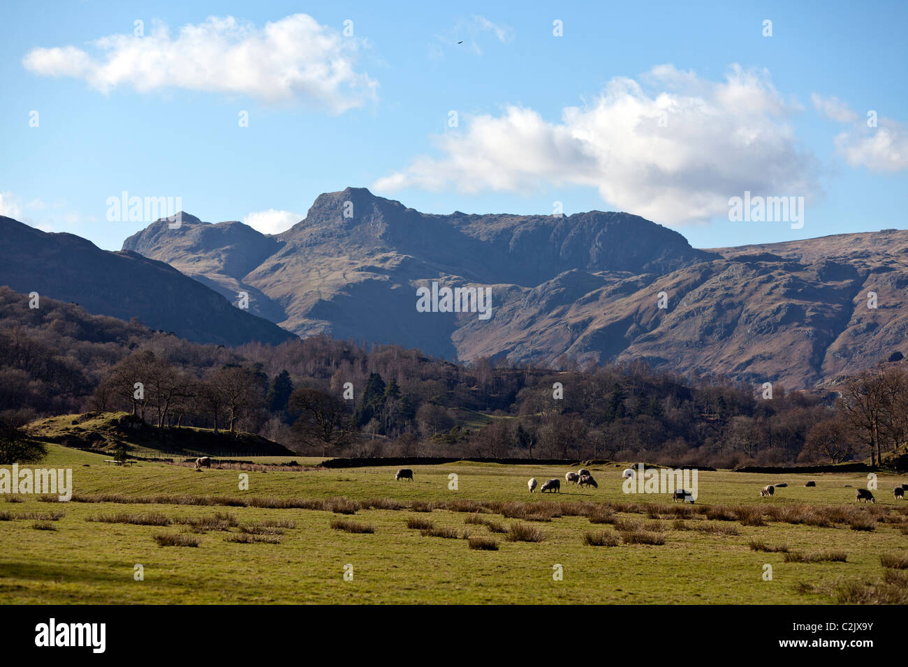 Langdale Pikes from Elter Water background Stock Photo