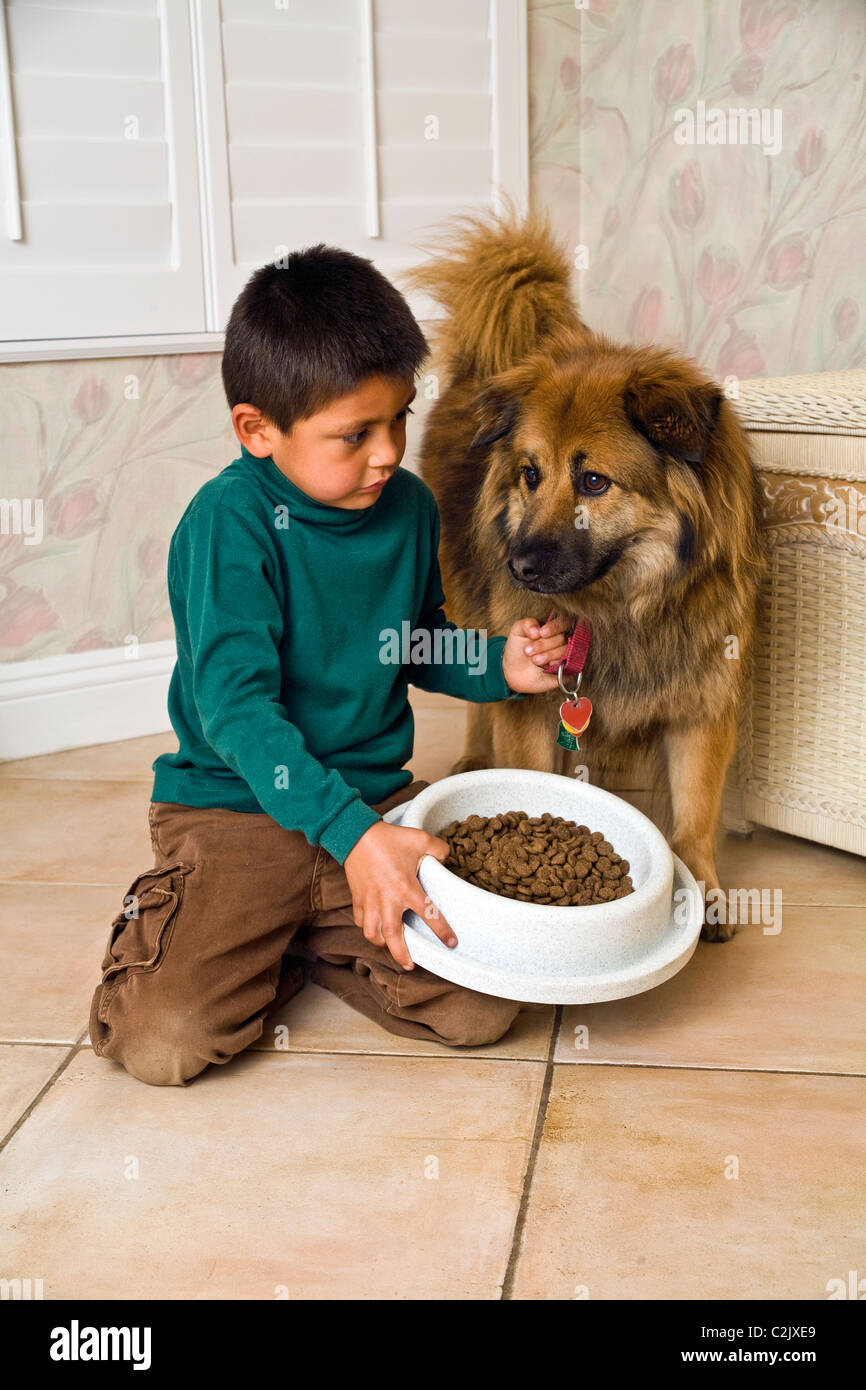 Kid feeding dog hi res stock photography and images Alamy