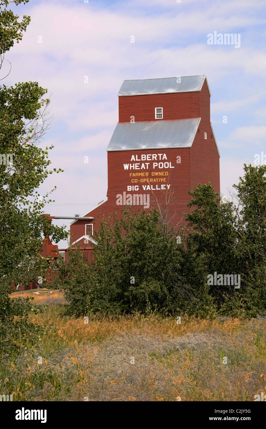 An old grain elevator in Big Valley, Alberta, Canada Stock Photo Alamy
