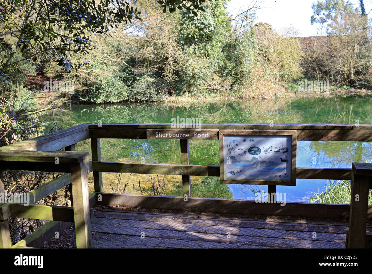 Sherbourne Pond near The Silent Pool on the A25 Shere Road between Guildford and Dorking, Surrey England UK. Stock Photo