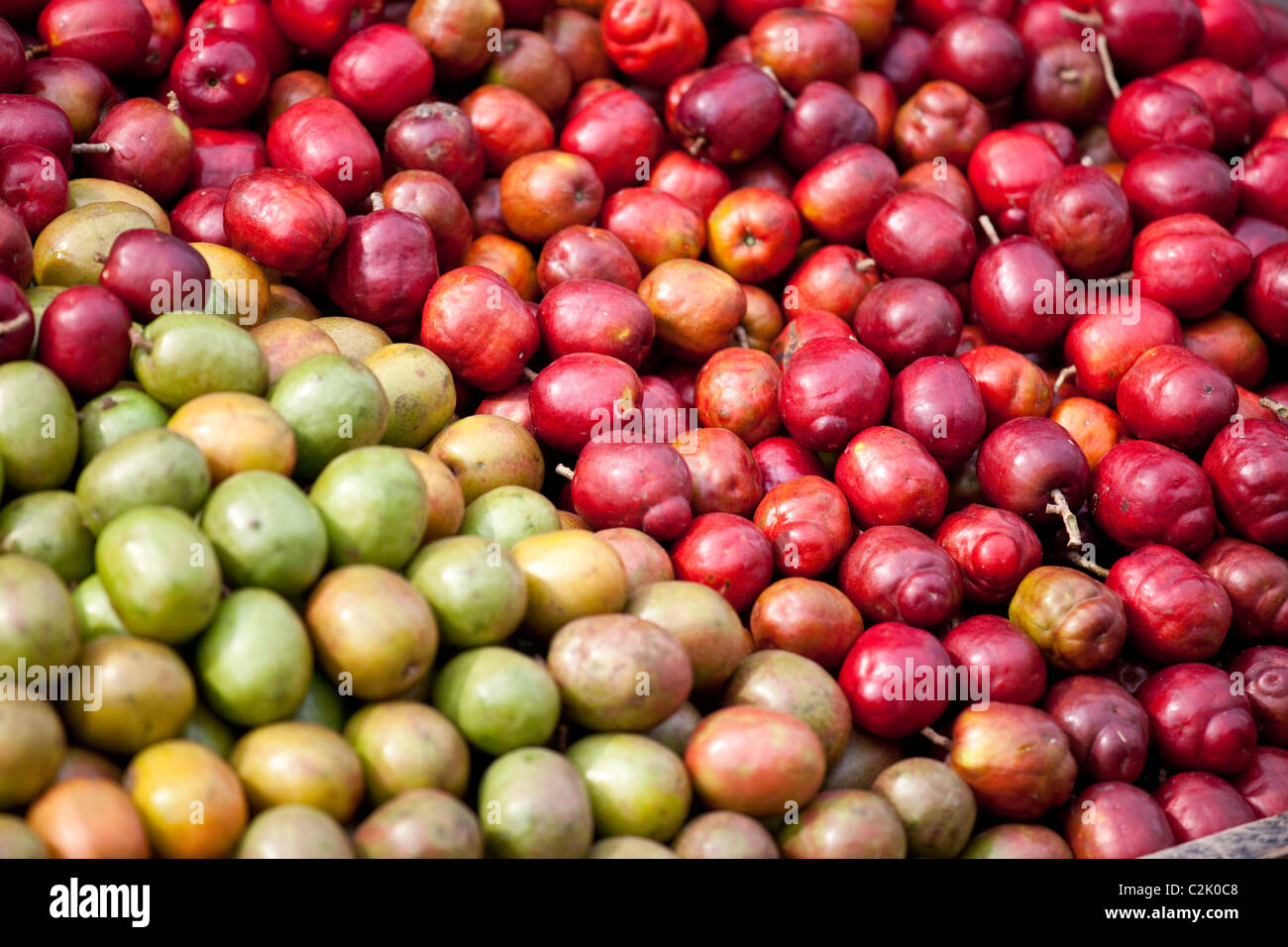 Corozo hi-res stock photography and images - Alamy