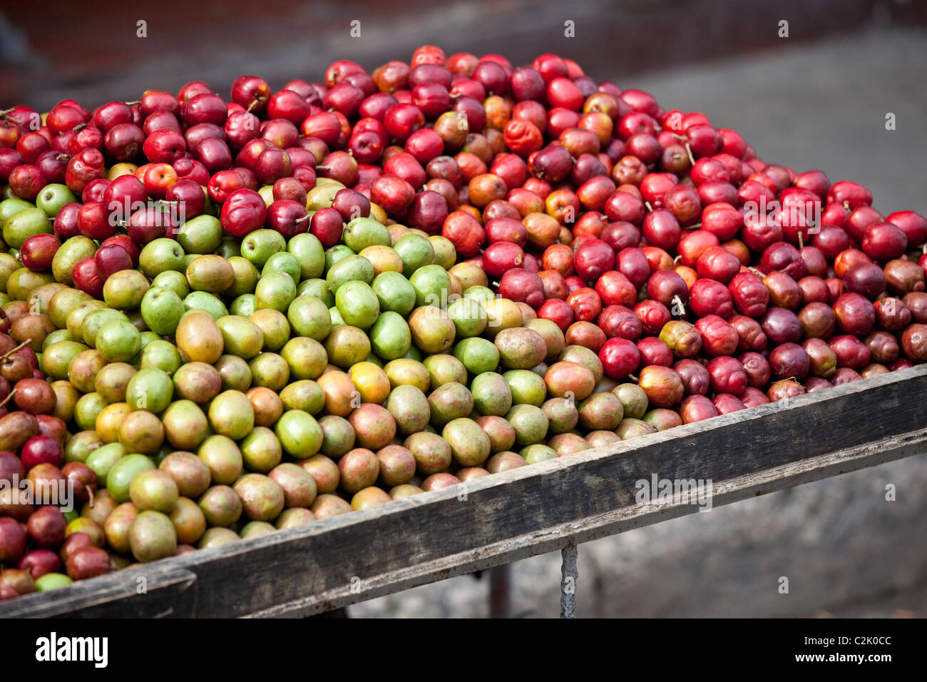 Corozo hi-res stock photography and images - Alamy