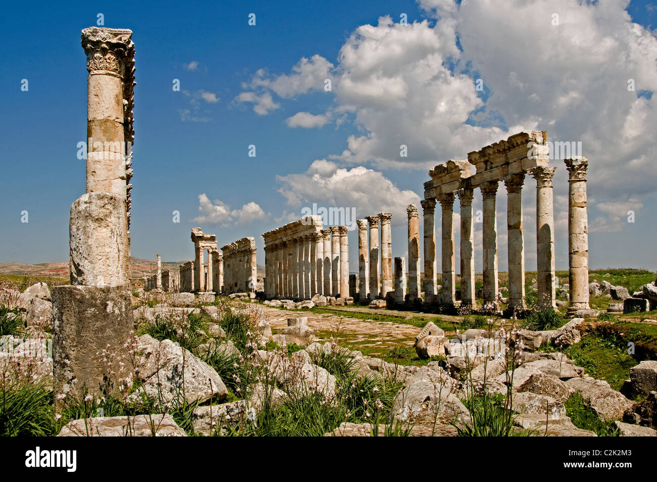 Apamea, Syria, region, Ghab plain,  Builder, Seleucus I Nicator, 300 BC , Greek and Roman city. Cultures, Hellenistic, Roman, Medieval Greek, Stock Photo