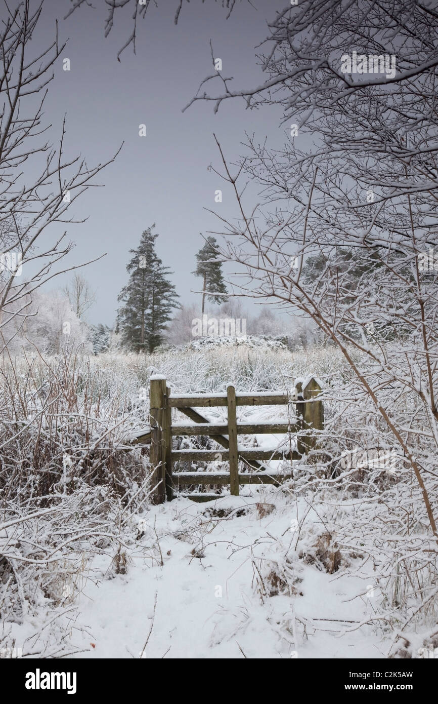 Fence fences fencing gate gates hi-res stock photography and images - Alamy