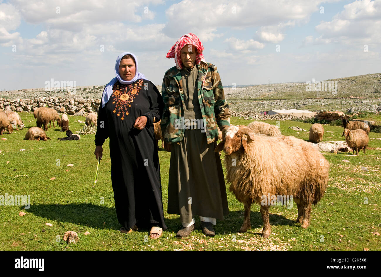 Man Woman Syria desert farm farmer sheep Bedouin  Bedouins Stock Photo