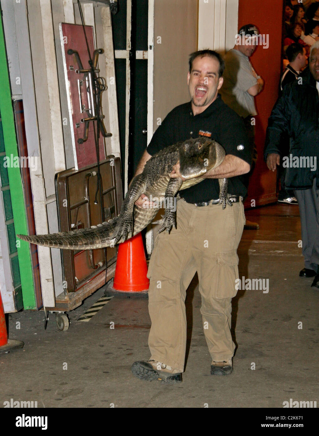 Augie the Alligator and professional animal handler Dan Breeding
