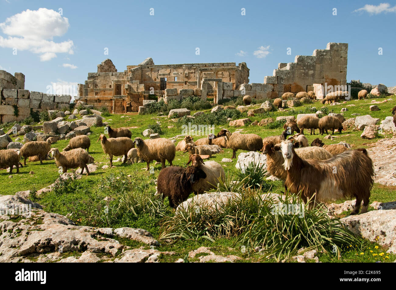 Serjilla, Syria, Dead City, contains about, 700 sites, Jebel Riha, near Hama and Aleppo, 473 AD, Roman, Byzantine, Hayat Tahrir al-Sham, 5th Century, Stock Photo