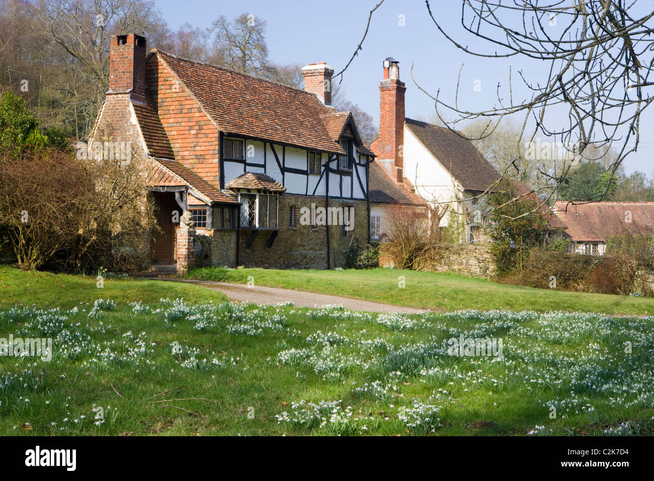 Cottage near Dorking, Surrey, UK with snowdrops Stock Photo