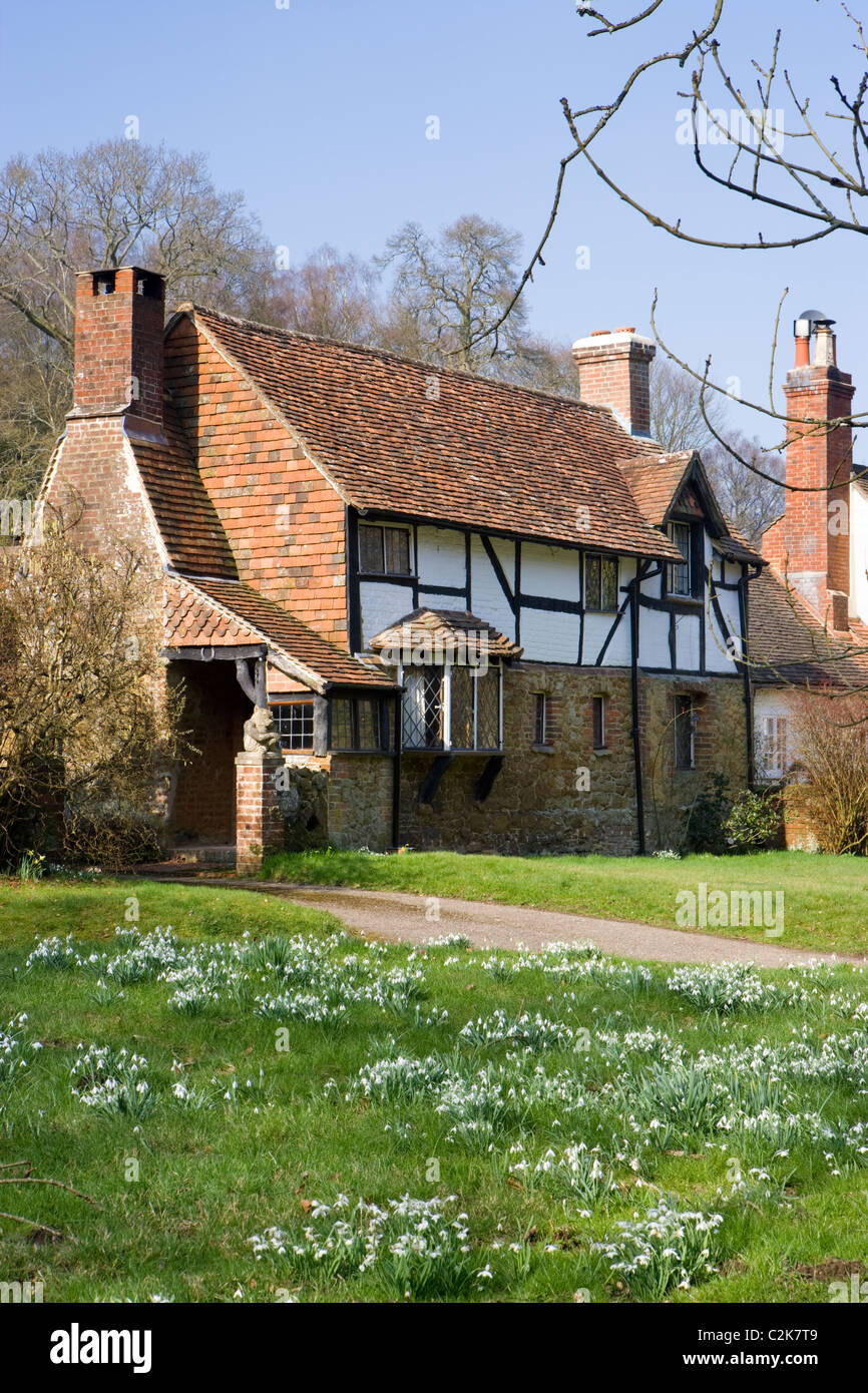 Cottage near Dorking, Surrey, UK with snowdrops Stock Photo