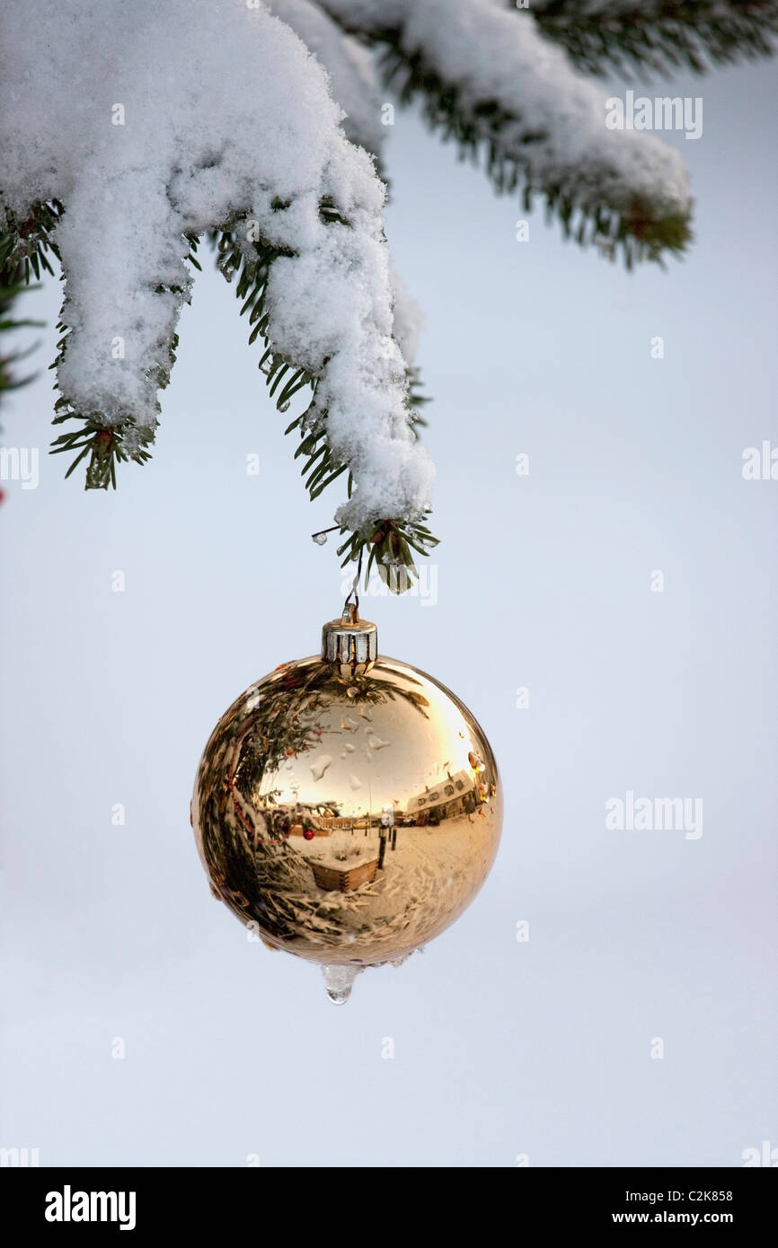 Gold Ball Ornament Hanging From A Snowy Tree Branch Stock Photo - Alamy
