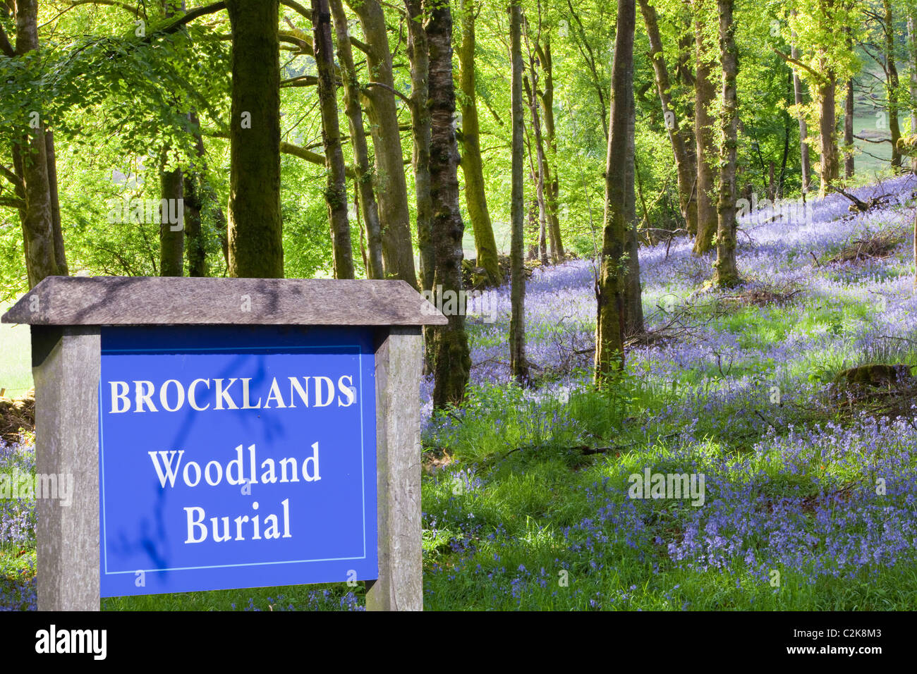 A woodland burial site. Such green burials are increasingly