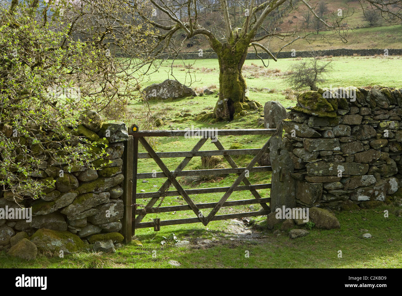 Gate in drystone wall, Grasmere, Cumbria, UK Stock Photo