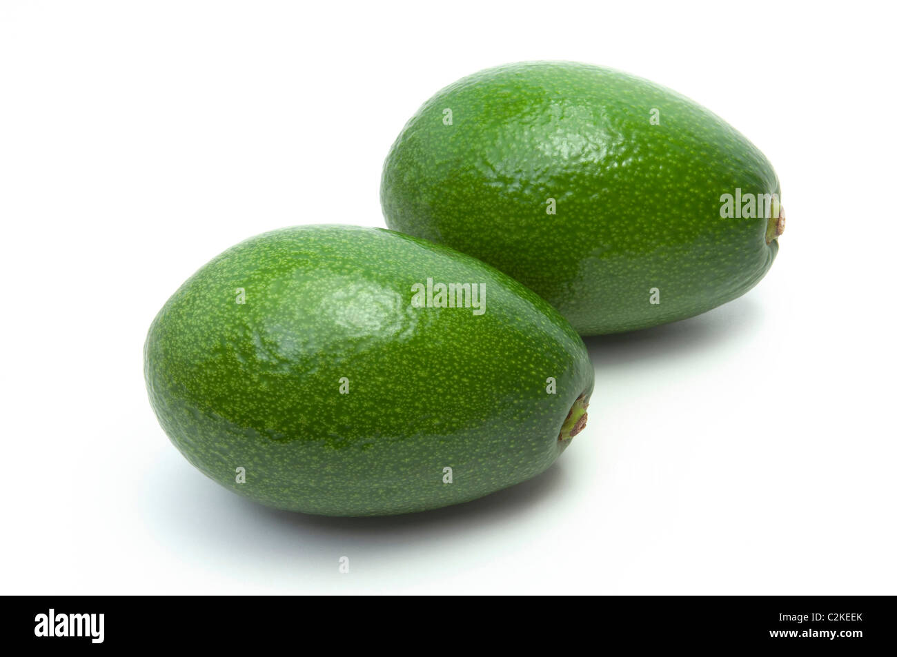 Avocado (Persea americana), ripe fruit. Studio shot against a white background. Stock Photo