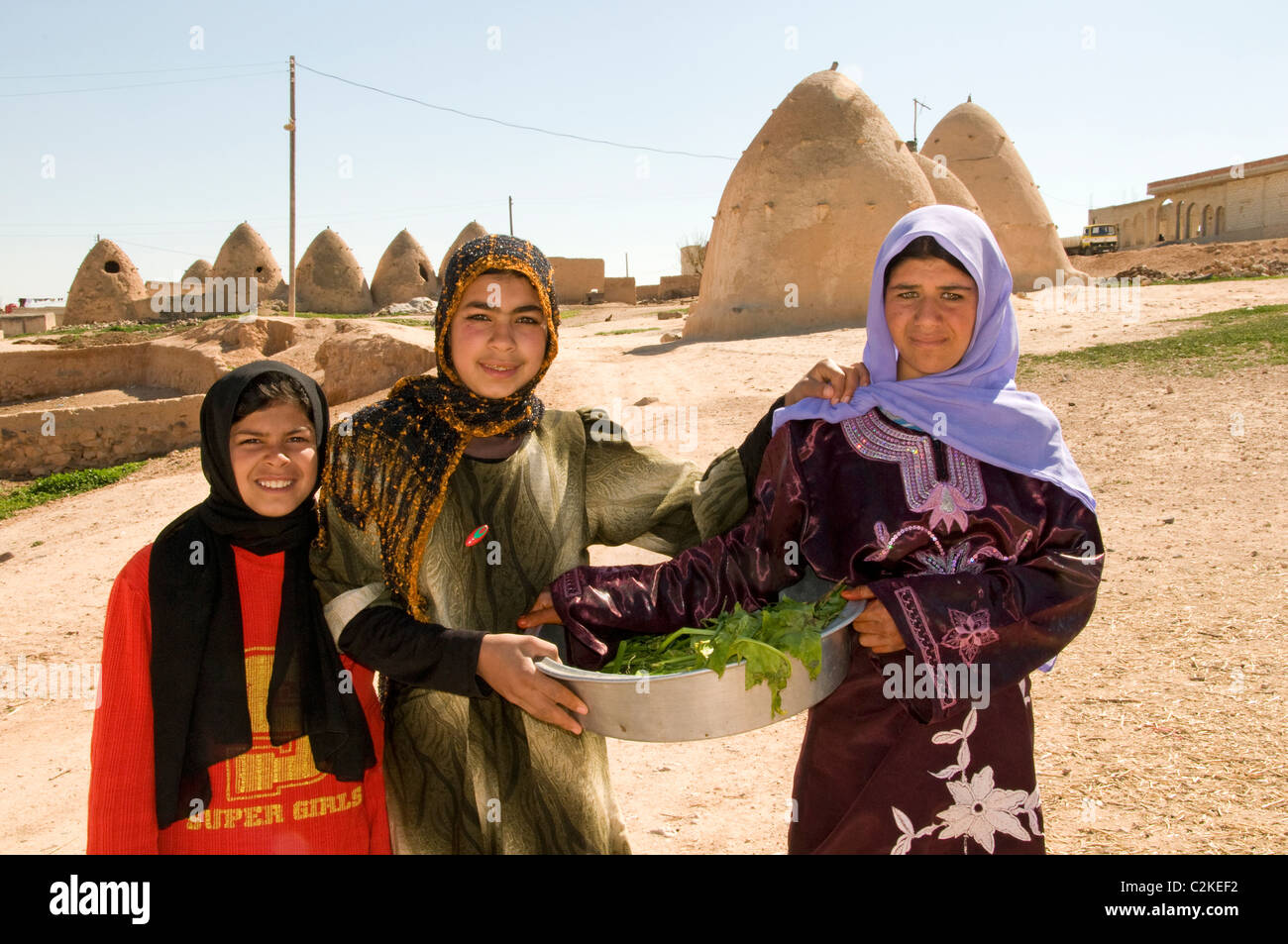 Syria desert Badiyat al Sham, farm sheep,culture, Bedouin Bedouins  Villages, man woman, Syrian  Middle East Stock Photo