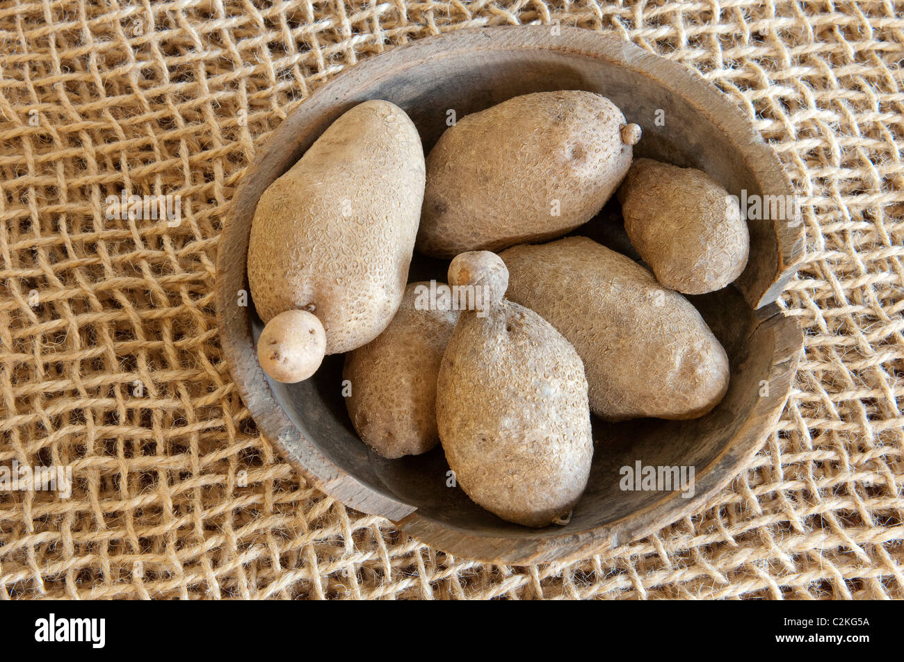 Golden Wonder Potato (Solanum tuberosum Golden Wonder). Potatoes a wooden bowl. Stock Photo