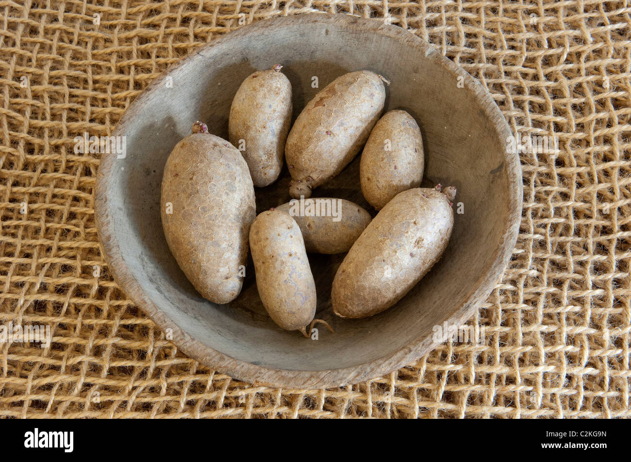 Potato (Solanum tuberosum), variety: Highland Burgundy Red. Potatoes a wooden bowl. Stock Photo