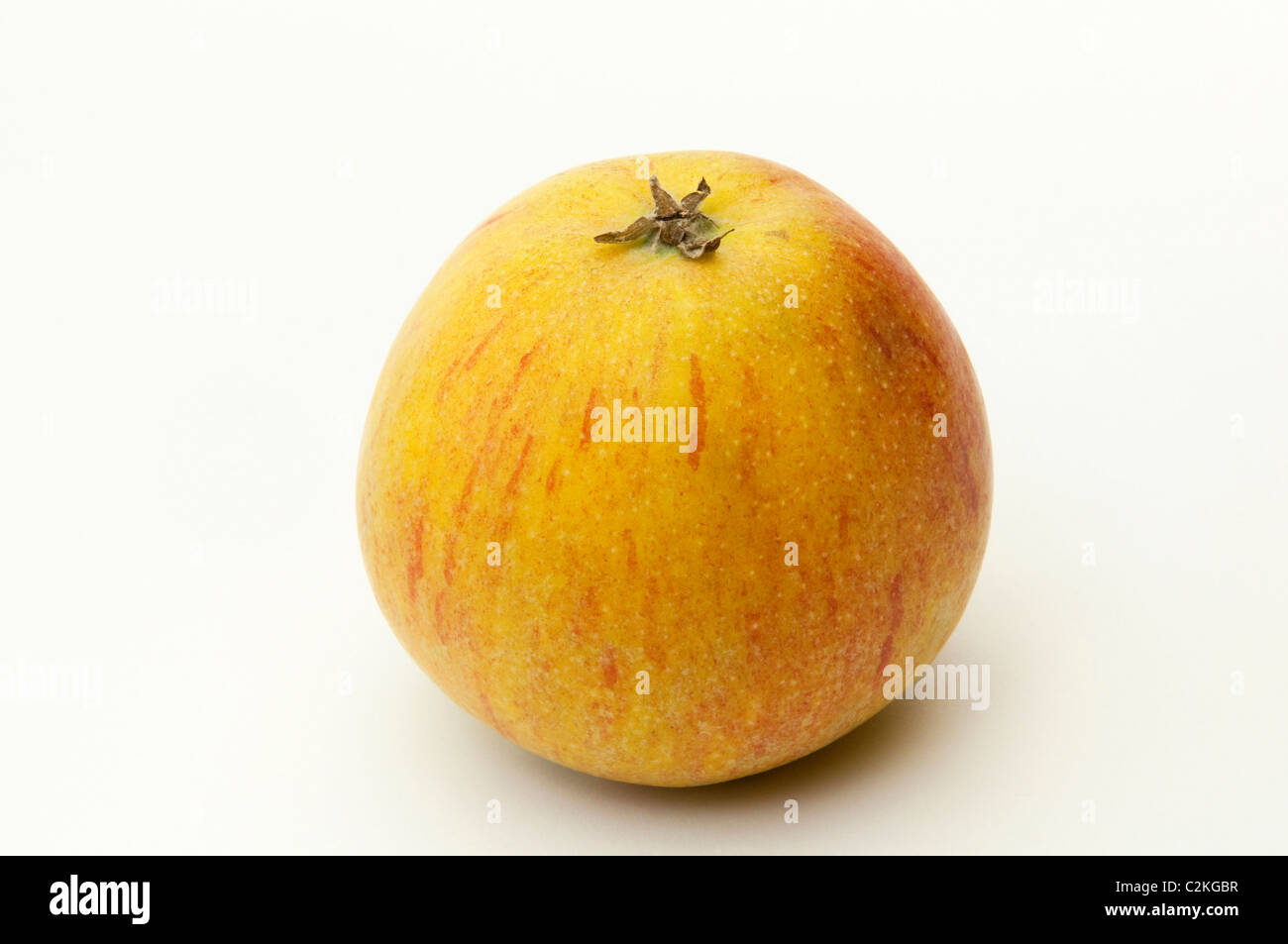 Domestic Apple (Malus domestica), variety: Holsteiner Cox, ripe fruit. Studio picture against a white background. Stock Photo