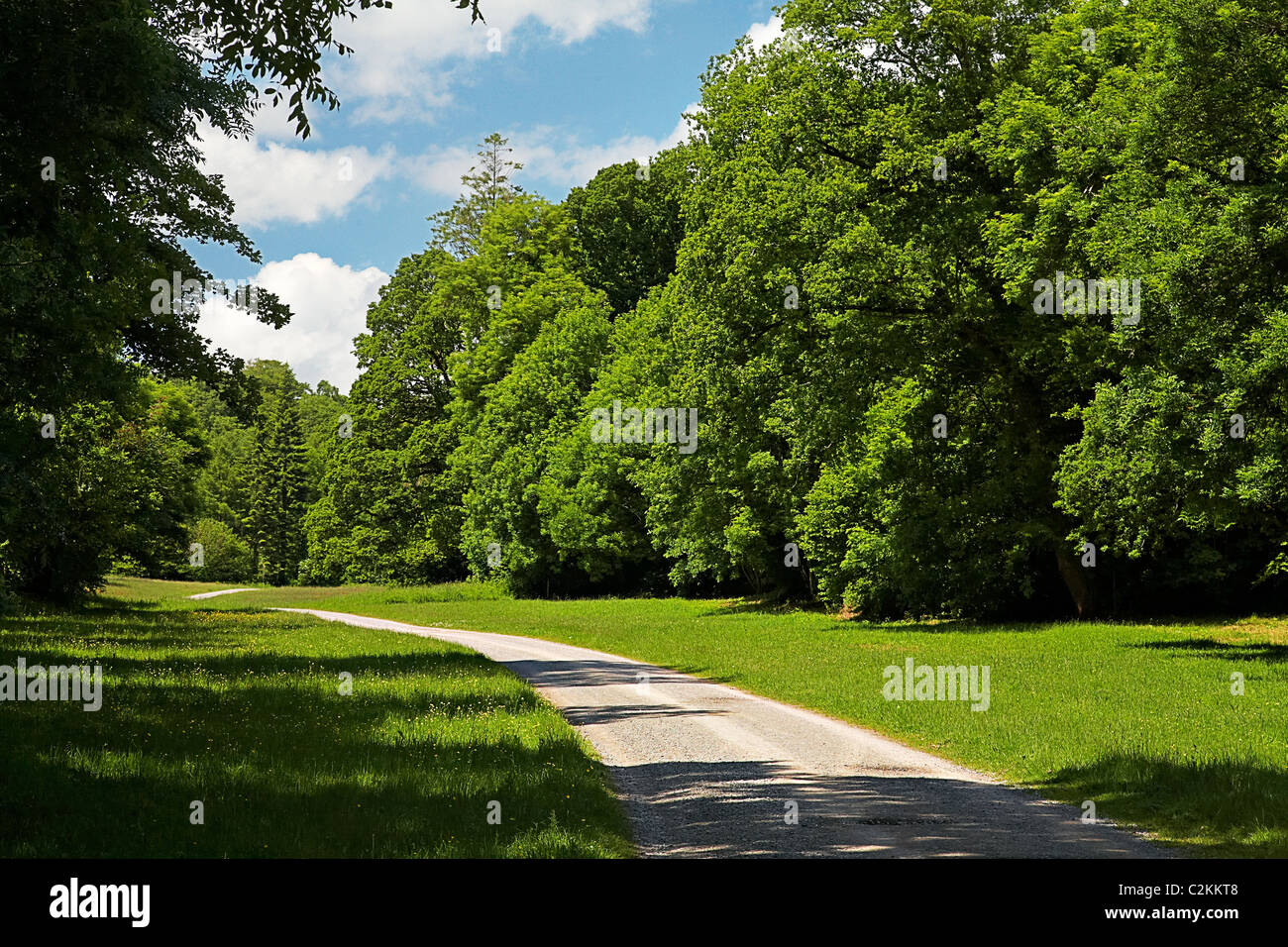 Parc Le Breos Park Wood Gower Wales Stock Photo Alamy parc-le-breos-park-wood-gower-wales-stock-photo-alamy