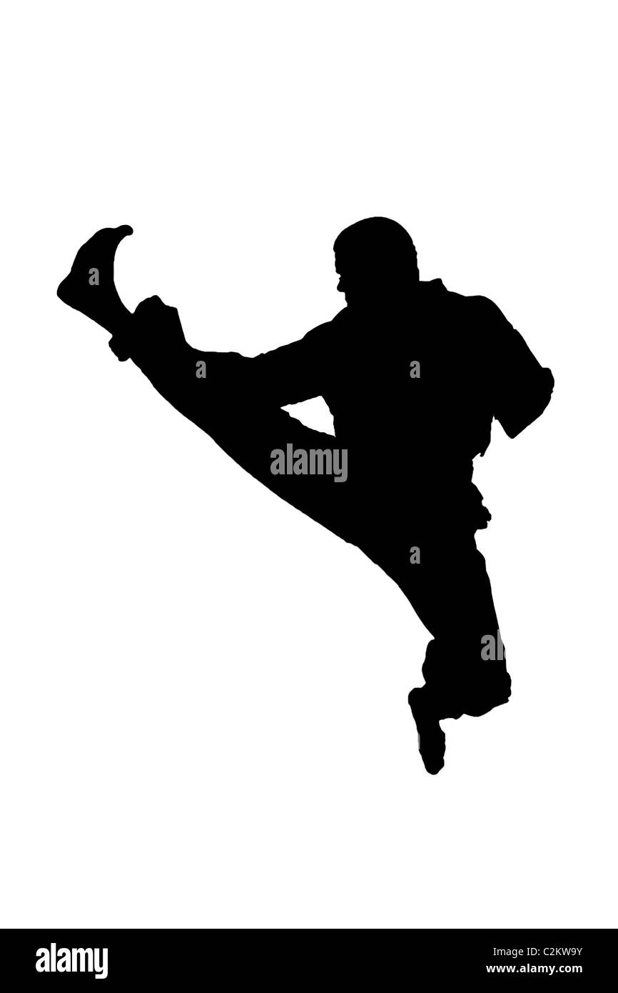 martial arts silhouettes Stock Photo