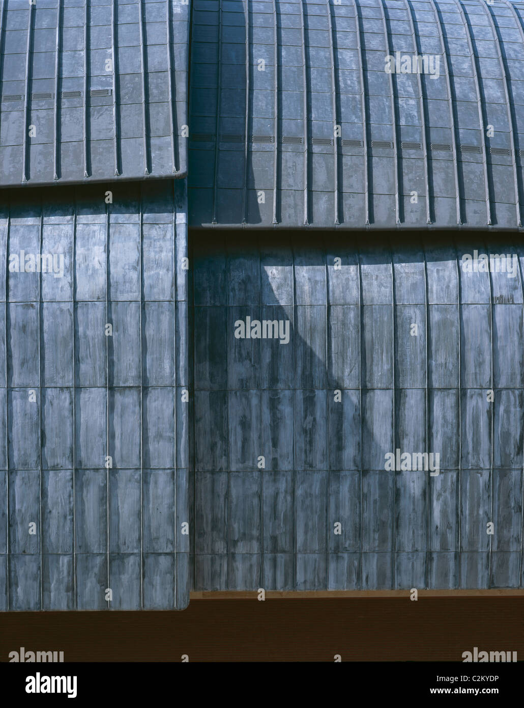 Auditorium, Parco della Musica, Rome, 1997-2002. Detail of roof. Stock Photo