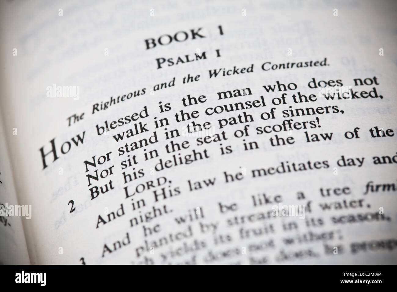Psalms 135 11