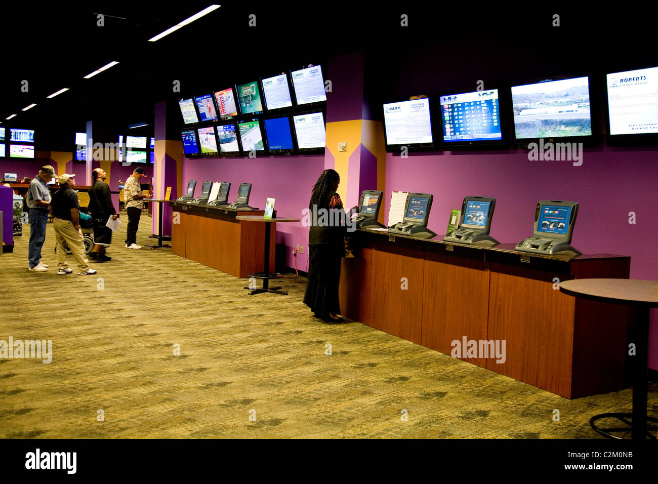 Daytona Beach Kennel Club Offers Greyhound Racing Action And