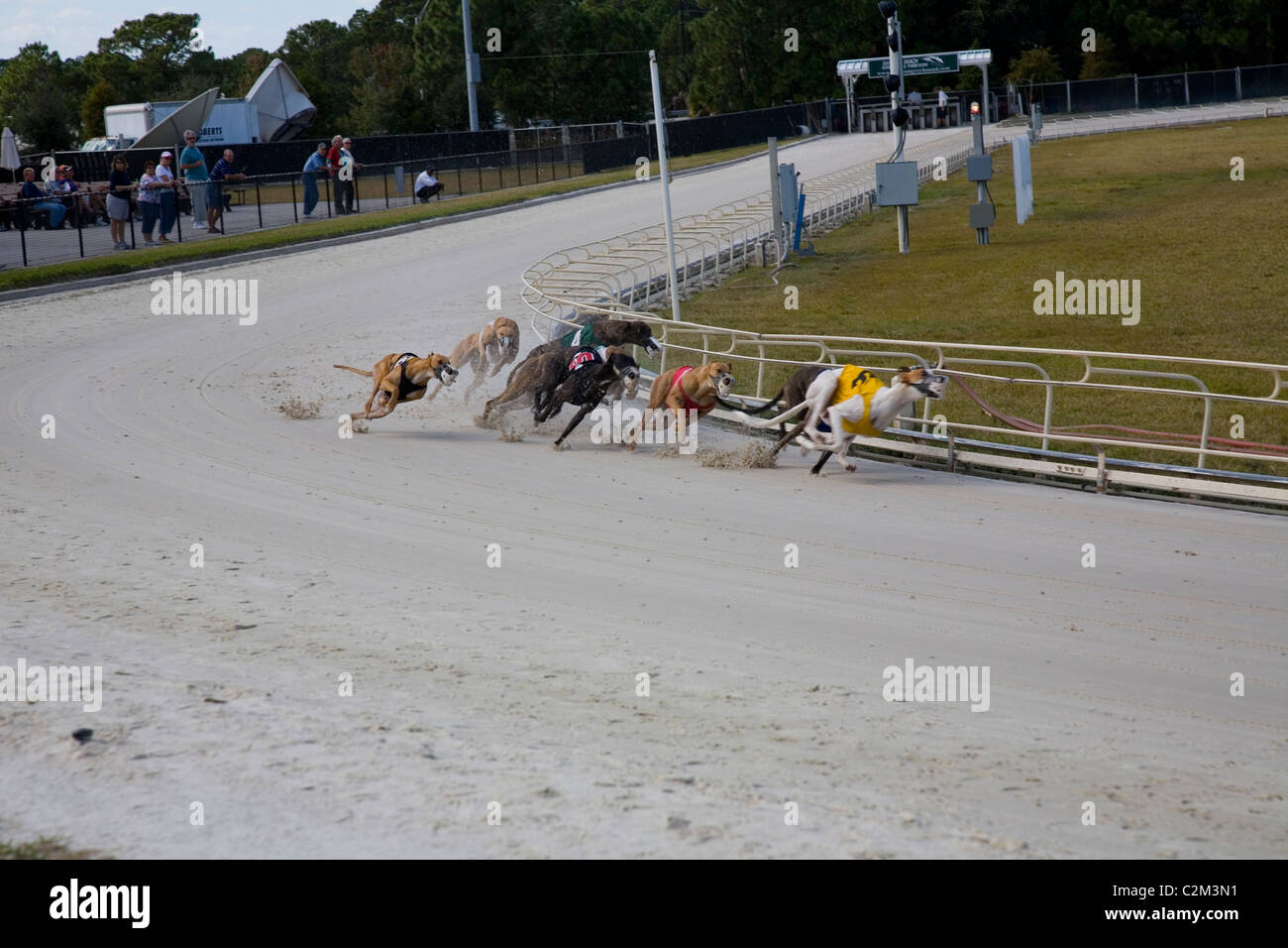 Daytona Beach Kennel Club offers greyhound racing action and a Poker