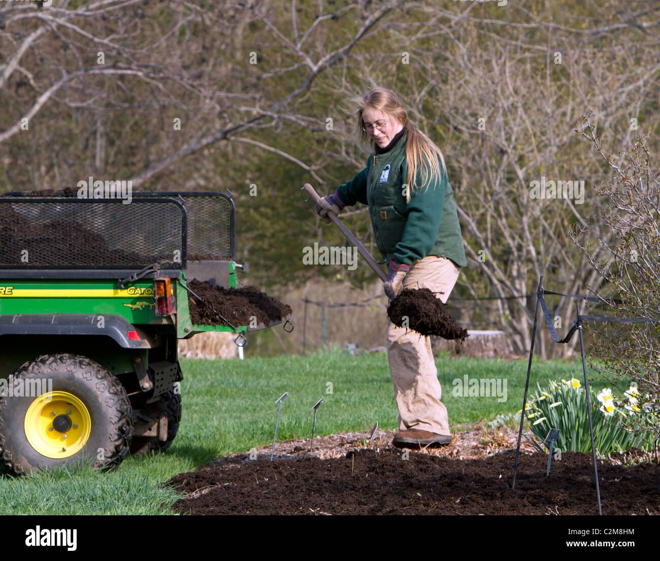 Spreading mulch in the garden with a John Deere Gator TX and a pitchfork. Stock Photo