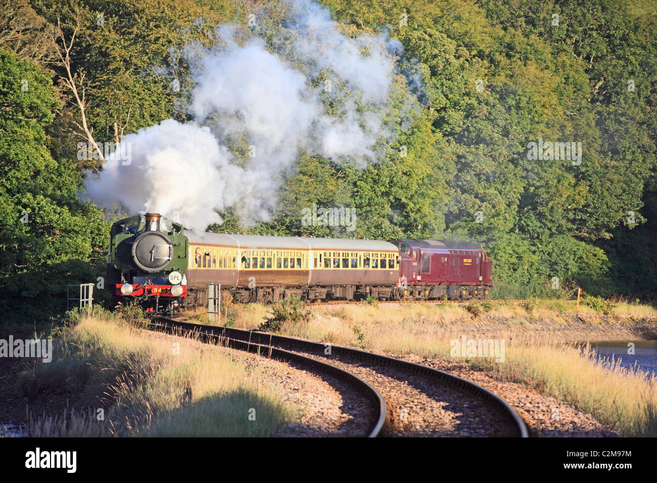 A steam train the on Looe Valley branch line in Cornwall Stock Photo
