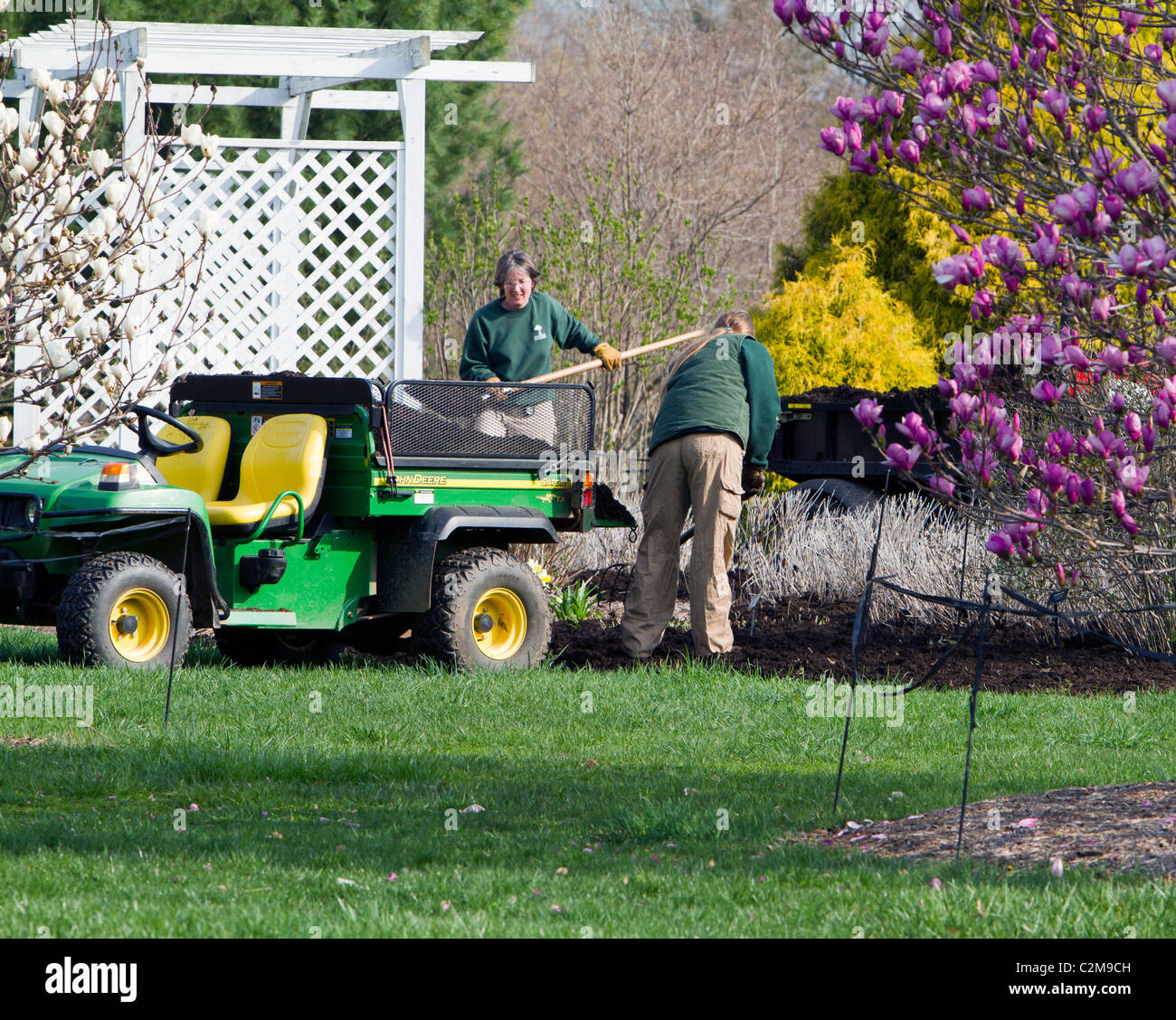 Spreading mulch in the garden with a John Deere Gator TX and a pitchfork. Stock Photo