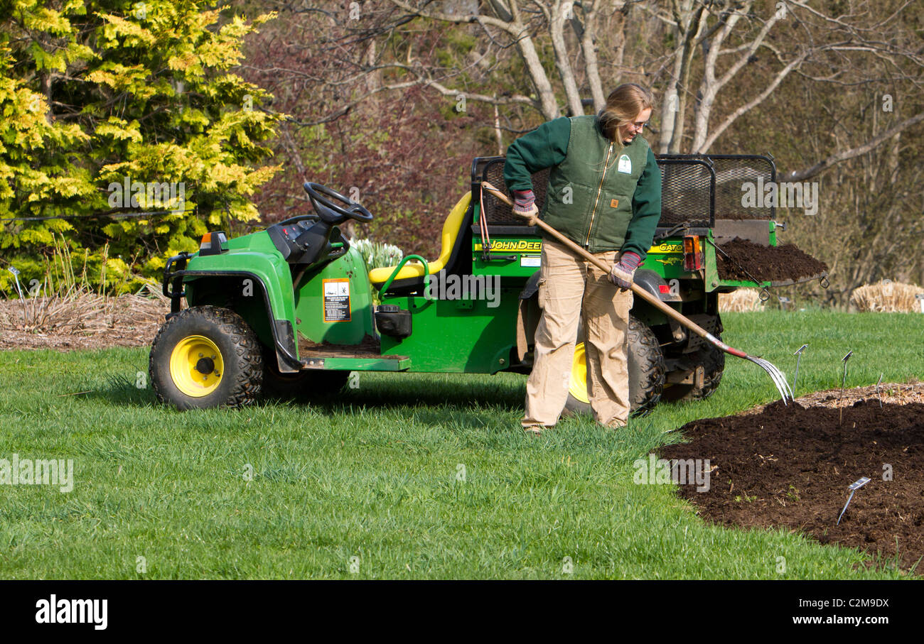 Spreading mulch in the garden with a John Deere Gator TX and a pitchfork. Stock Photo