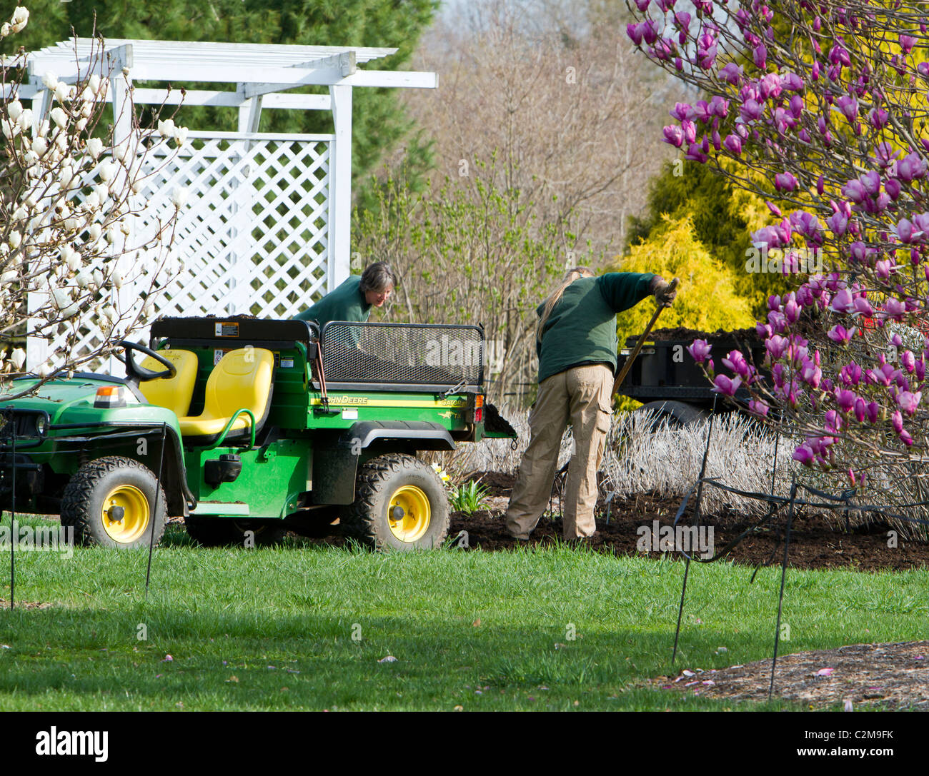 Spreading mulch in the garden with a John Deere Gator TX and a pitchfork. Stock Photo