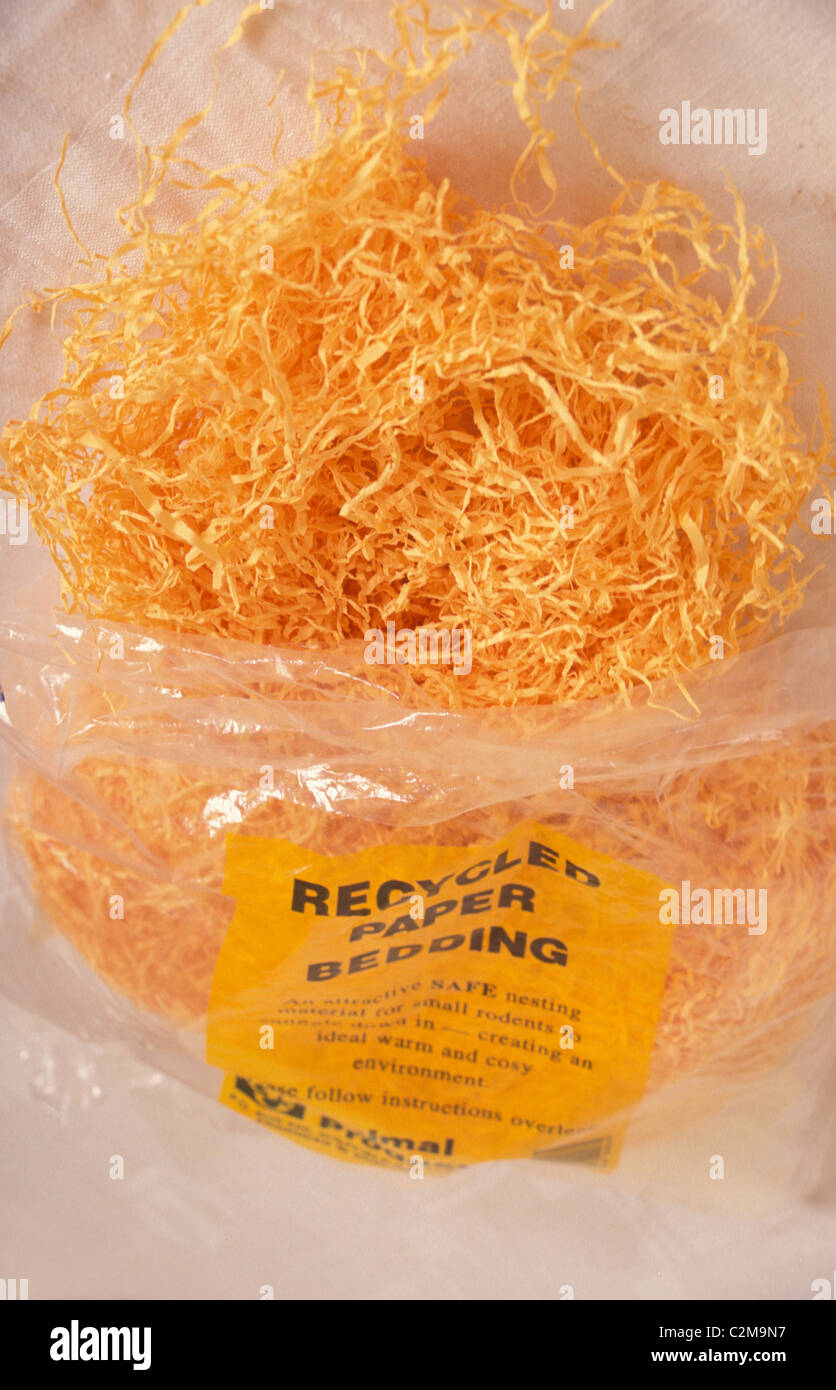 Shredded paper hamster hires stock photography and images Alamy
